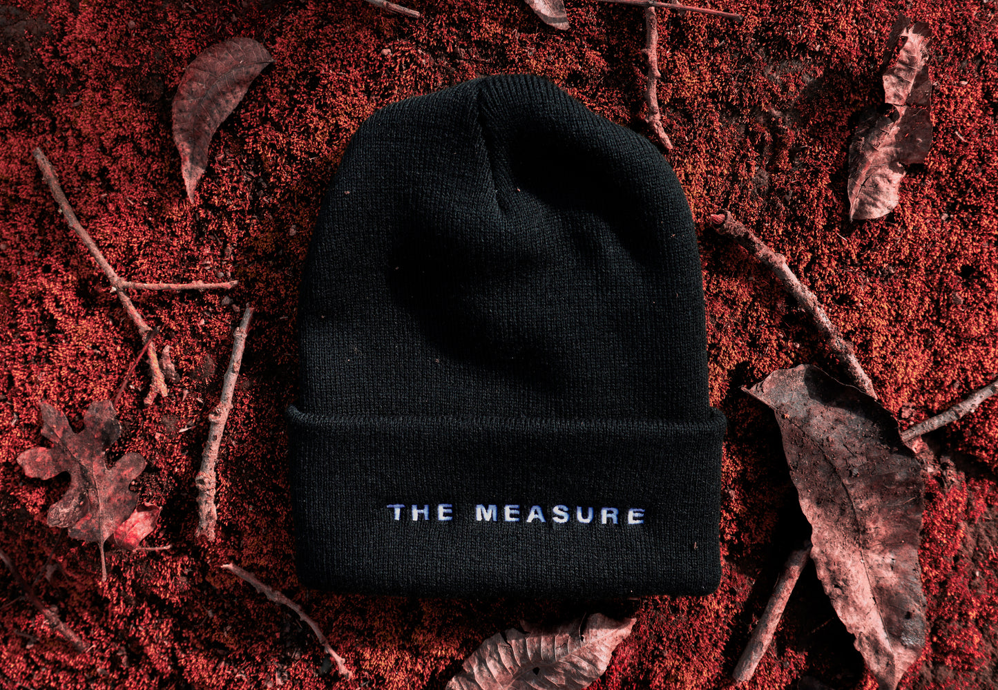 The Measure Beanie